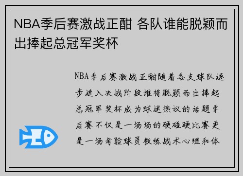 NBA季后赛激战正酣 各队谁能脱颖而出捧起总冠军奖杯
